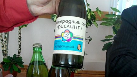 Fangoria fruit juice_1